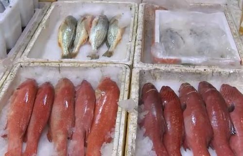 在宁波水产品批发市场,经营户告诉记者,这几天大多数海鲜批发价迷显